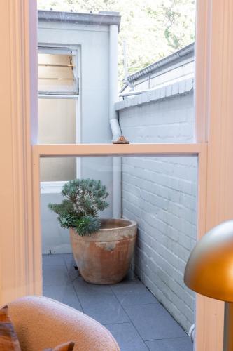 Stylish 3BR Paddington Townhouse in Paddington