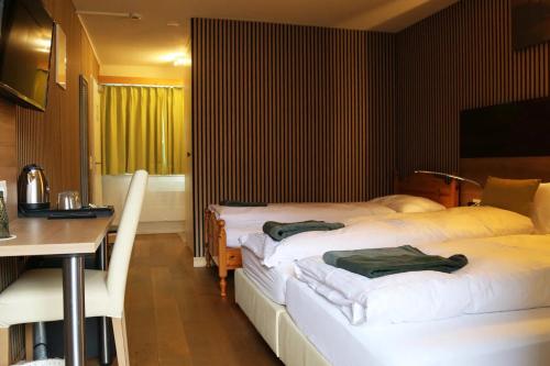 Hotel Lakeview - image 9