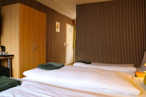 Hotel Lakeview - image 11