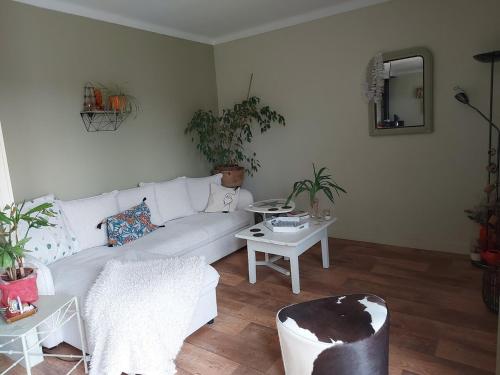 Auch dans un Écrin de Verdure (Auch dans un Ecrin de Verdure) in Auch