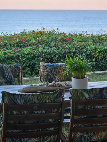 SEEMEEU, Jeffreys Bay (fotografie 7)