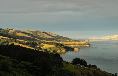 Surrounding environment, Manu Heights Retreat near Otago Peninsula