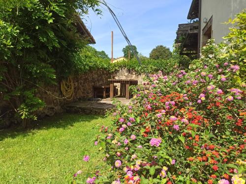 La Casuca de Margot in 魯巴約
