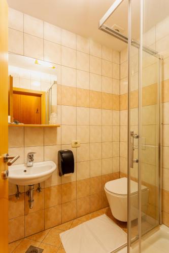 Sobe in apartmaji Triglav - Gostinstvo Tomex, Ilirska Bistrica (Bisterza) (foto 10)