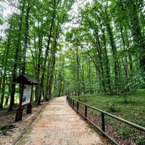 Vaatamisväärsus lähikonnas, Arcaroli Borgo Vico "La Bomboniera" in Vico del Gargano