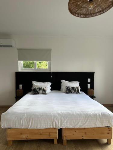 1 king bed, 1 sofa bed