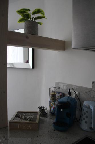 Apartment Exclusiv