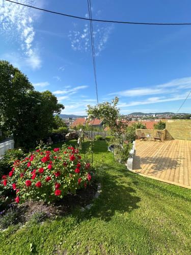 Cozy apartment with amazing view and location, Oslo (photo 10)