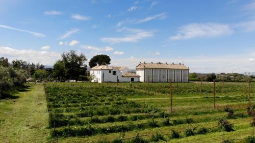 Cortijo de la Seda, Granada (photo 3)