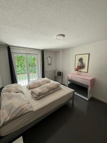 Sunny Home near Zurich Airport, Curych (fotografie 4)