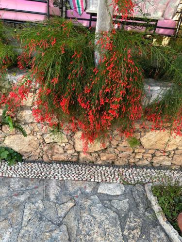 Courtyard Kalkan 5