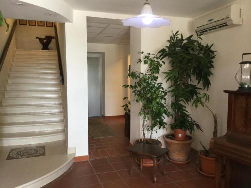 Albergo Ristorante Belvedere
