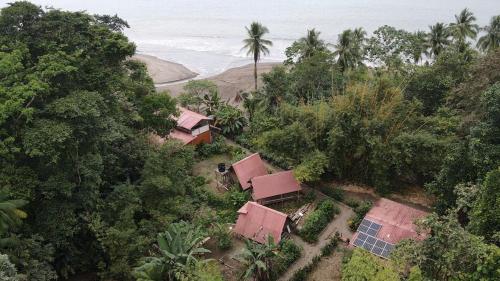Iracas del Mar