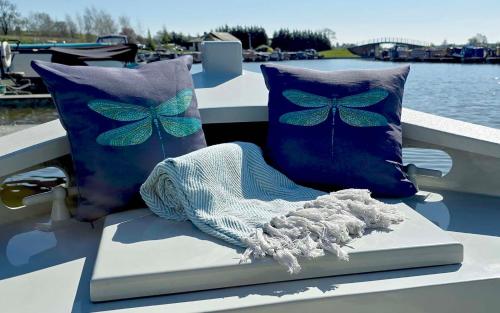 Kilátás, Dragonfly at Aston Marina in Aston-by-Stone