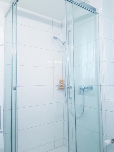 GRANDE SUITE with kitchen dish washer, dryer washer, Curych (fotografie 3)