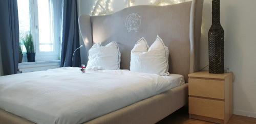 GRANDE SUITE with kitchen dish washer, dryer washer, Curych (fotografie 4)