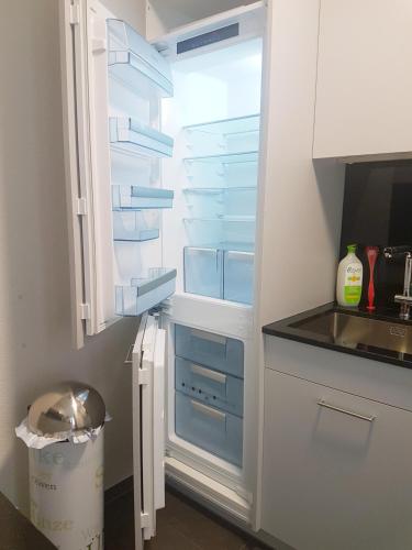 GRANDE SUITE with kitchen dish washer, dryer washer, Curych (fotografie 7)