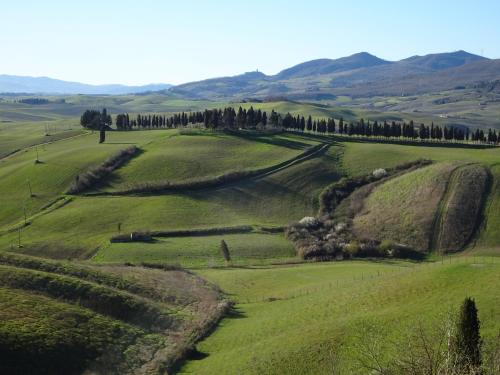 La Ginestra - Altana in Lajatico
