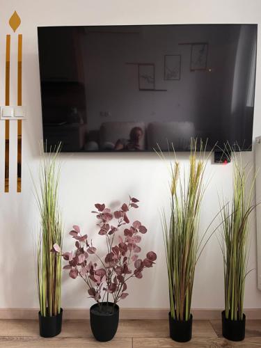 Apartament Sukces