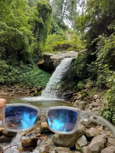 Tirthan Hill Wander Stay in Chippni