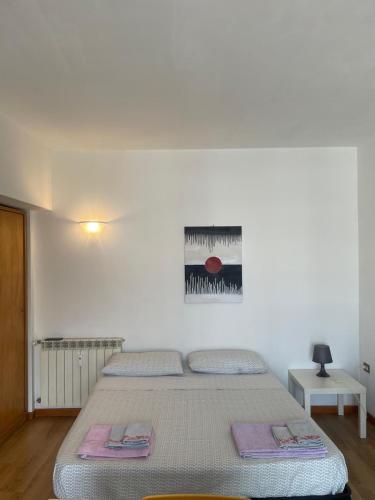 Bright and Cozy Studio Apartment near Trastevere Station, Roma (foto 2)