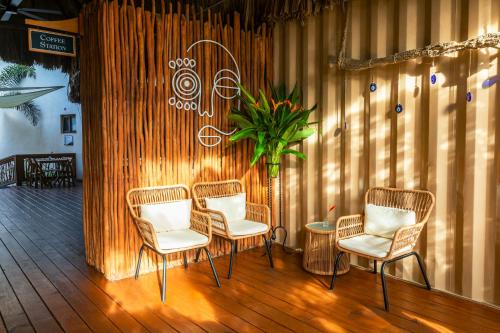 Instalaciones, Kalimera Beach Hotel in Maya Beach