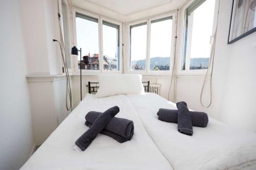 Basic & Cozy Zurich Studio Central & Walkable, Curych (fotografie 8)