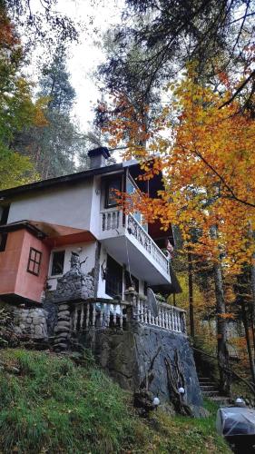 Villa Byala Luna - Guest House in Pastra