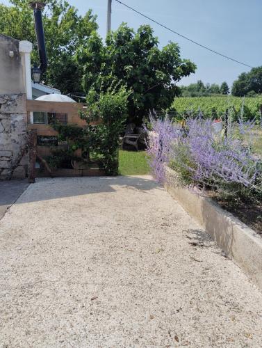 L'Edenwine jardin clos et spa privatif in Doulezon