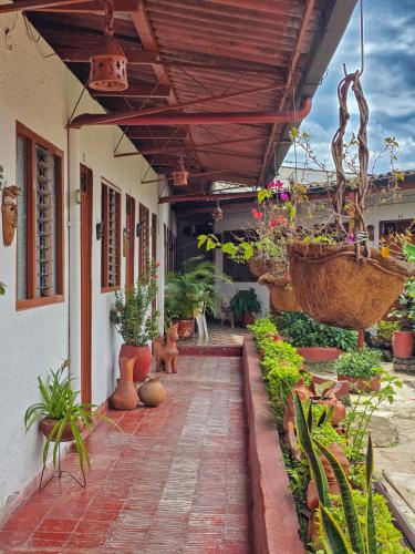 Garden, El Gran Boga in Villeta