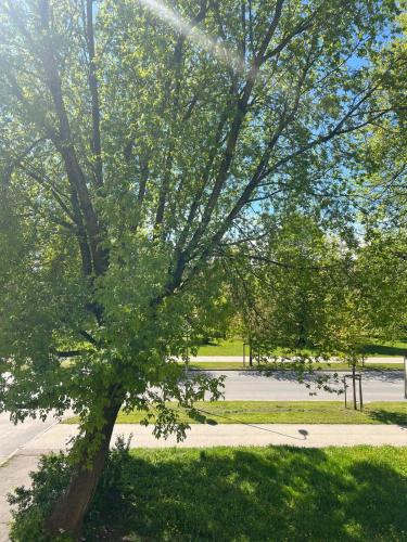 CityStayLV - Jelgava Center in Jelgava