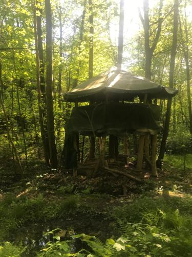 Das wilde Auwaldhaus in Bertsdorf-Hornitz