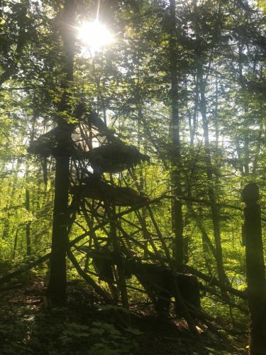 Das wilde Auwaldhaus in بيرتسدوف - هورنيتش