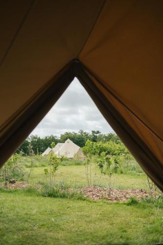Eco Farm Camping 'de Waeldernis' in Texel