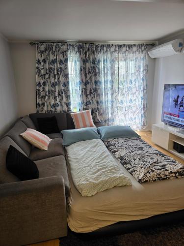 Entire Apartment for rent in มอสส์