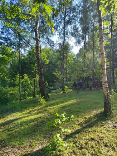 Hacienda domek całoroczny z jacuzzi w lesie pod Rzeszowem