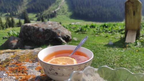 Apkārtne, Ernis Yurt Camp in Teploklyuchenka