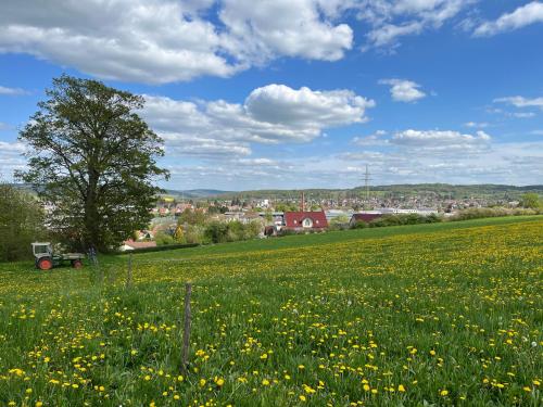 A környék, Ferienhof Zinn in Lauterbach (Hessen)
