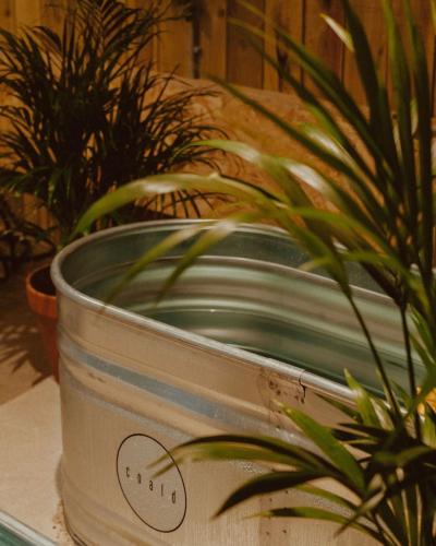 A szálláshely kívülről, Sirius in Willington (Cheshire)