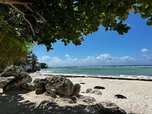 Cozy Beach Surf in Enterprise
