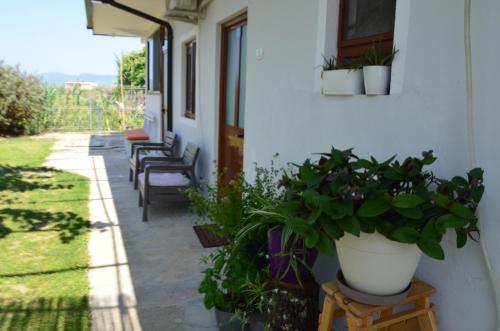 Rustic Tale Guesthouse in Tale