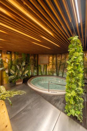 Spa, Wellness Rooms Central in Praga