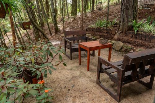 Cotan Ecolodge in La Esperanza