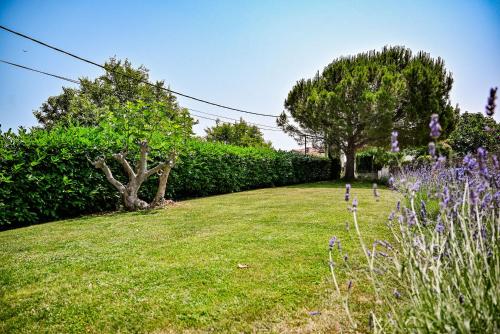 Villa Mirela - Accommodation - Vrbnik