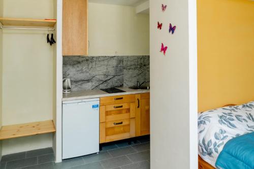 Blue Butterfly in Jaundubulti