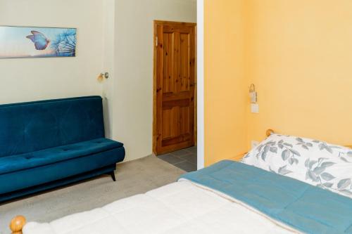 Blue Butterfly in Jaundubulti