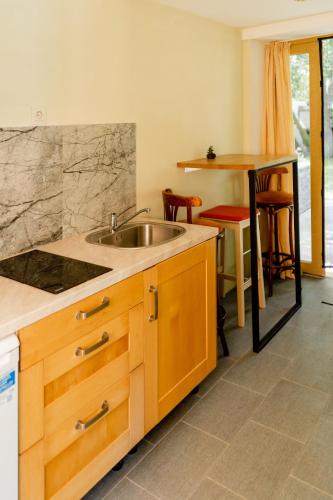 Blue Butterfly in Jaundubulti