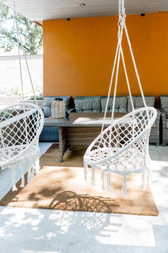 Blue Butterfly in Jaundubulti