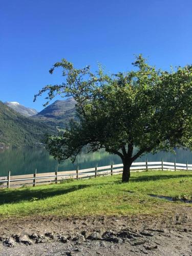 Cabin in Oppstryn, Stryn (photo 7)