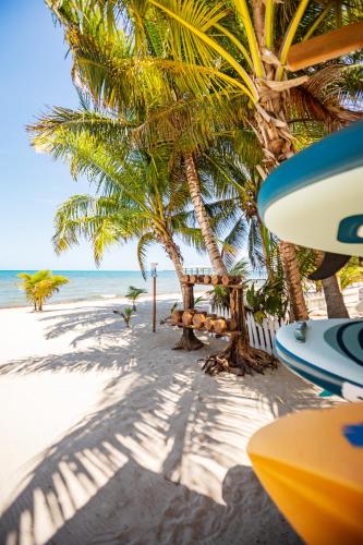 playa, Kalimera Beach Hotel in Maya Beach